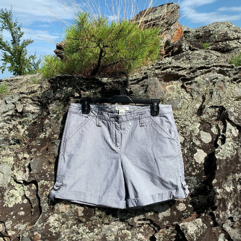White House Black Market pinstriped shorts size 4